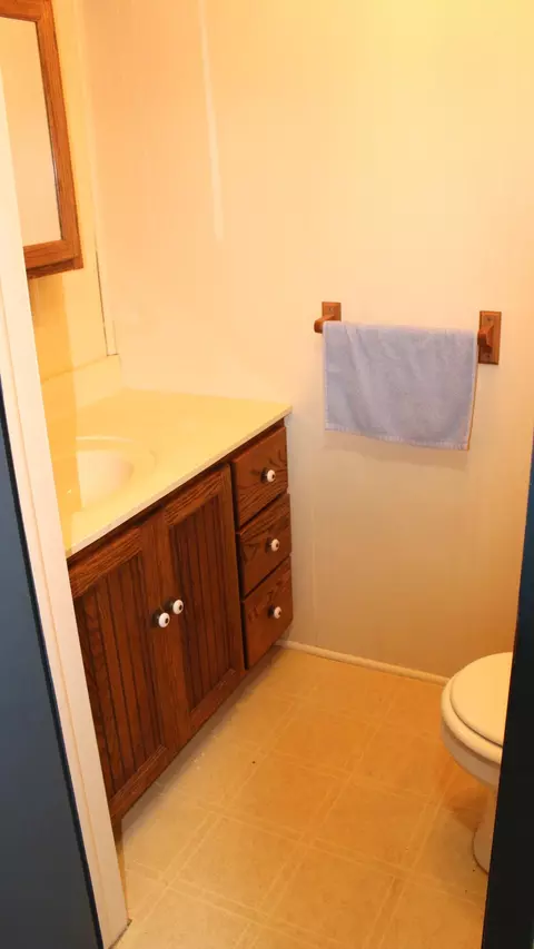 53 Central Park Dr, Coldwater, MI 49036 photo 5