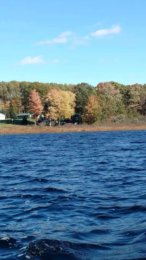 5376 Point Dr, Remus, MI 49340 photo 5