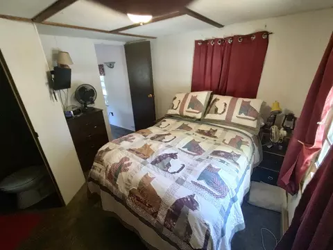 5376 Point Dr, Remus, MI 49340 photo 13