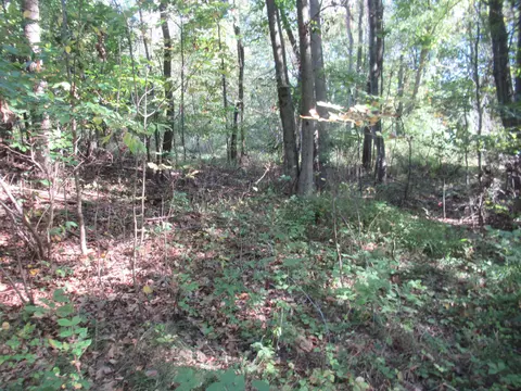 17538 Paradise Lake Rd, Vandalia, MI 49095