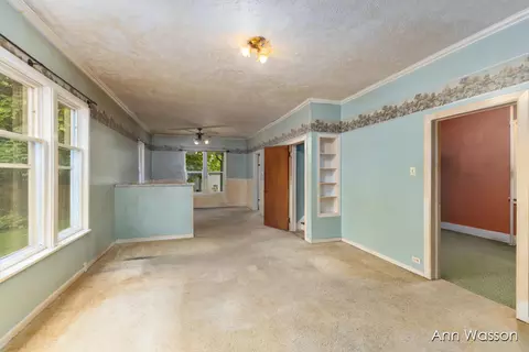 121 N Prospect St, Belding, MI 48809 photo 2