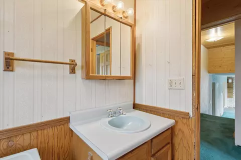 7055 Wabasis Ave NE, Belding, MI 48809 photo 22