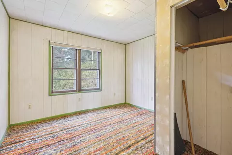 7055 Wabasis Ave NE, Belding, MI 48809 photo 17