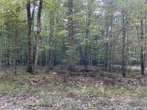 V/l Trail Of The Lakes, Baldwin, MI 49304
