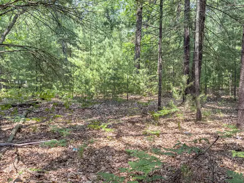 0 Clover Ave, Baldwin, MI 49304 photo 2