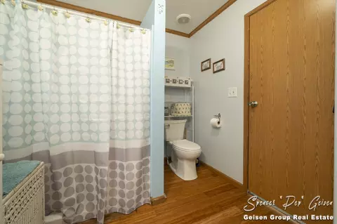 4240 Wheeler Rd, Belding, MI 48809 photo 24