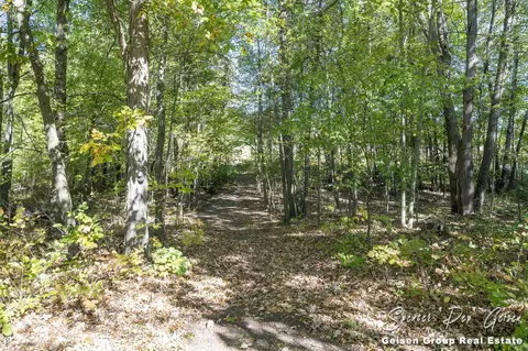 4240 Wheeler Rd, Belding, MI 48809 photo 43