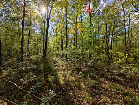 Vl S Walnut Ave, White Cloud, MI 49349 photo 29