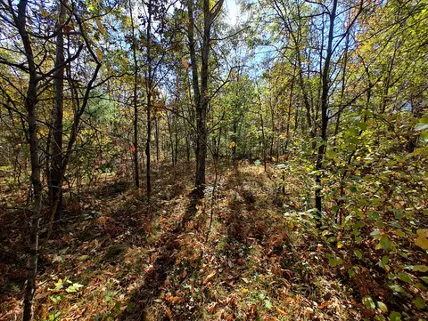 Vl S Walnut Ave, White Cloud, MI 49349 photo 14