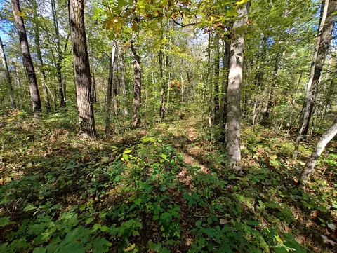 Vl S Walnut Ave, White Cloud, MI 49349 photo 25