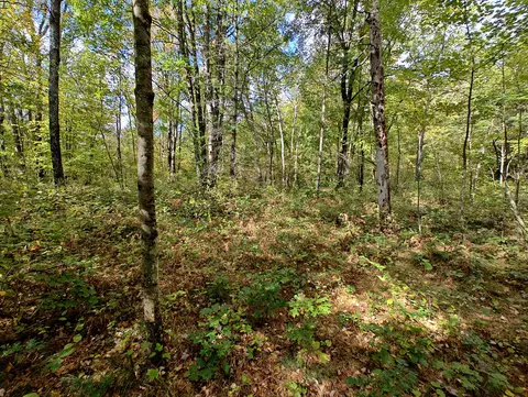 Vl S Walnut Ave, White Cloud, MI 49349 photo 27