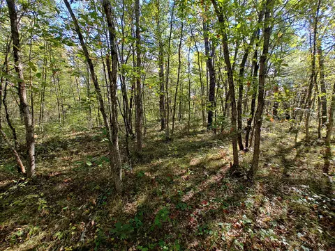 Vl S Walnut Ave, White Cloud, MI 49349 photo 18