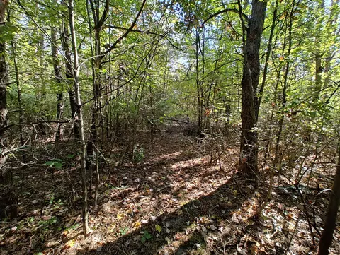 Vl S Walnut Ave, White Cloud, MI 49349 photo 9