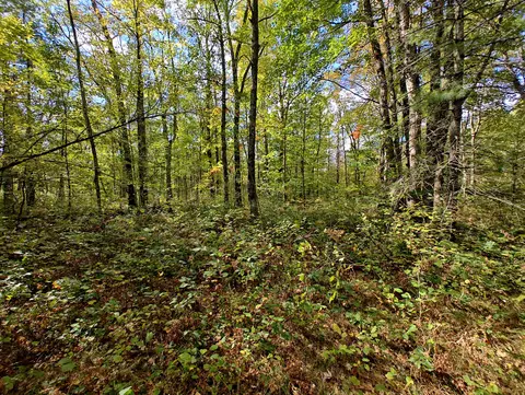 Vl S Walnut Ave, White Cloud, MI 49349 photo 28