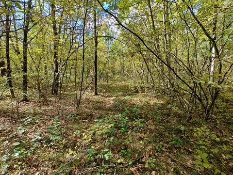 Vl S Walnut Ave, White Cloud, MI 49349 photo 30
