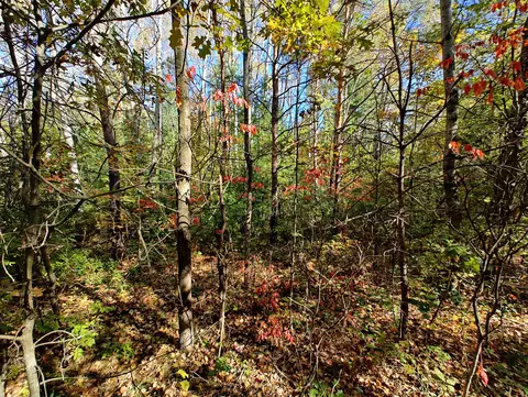 Vl S Walnut Ave, White Cloud, MI 49349 photo 12