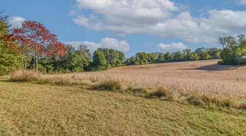 5228 Moore Rd, Tekonsha, MI 49092 photo 6