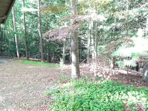469 E Kott Rd, Manistee, MI 49660 photo 27