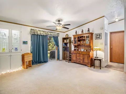 181 106th, Plainwell, MI 49080 photo 20