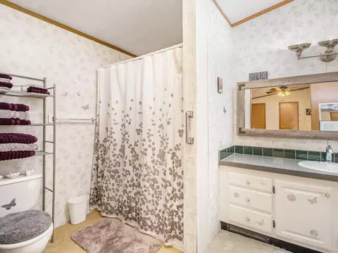 181 106th, Plainwell, MI 49080 photo 18