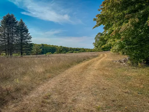 5632 Walking Path Pl, Harrietta, MI 49638 photo 53