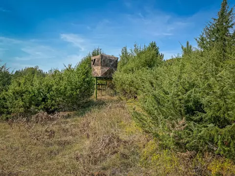 5632 Walking Path Pl, Harrietta, MI 49638 photo 50