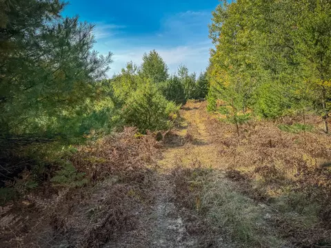 5632 Walking Path Pl, Harrietta, MI 49638 photo 54