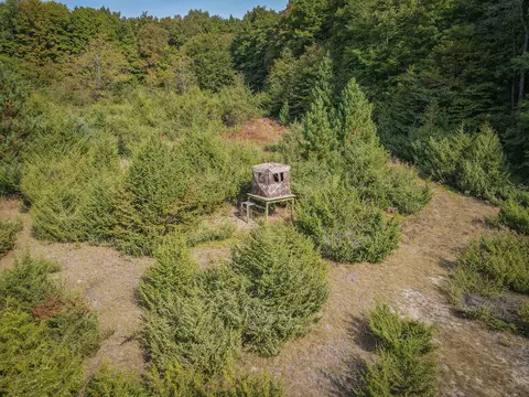 5632 Walking Path Pl, Harrietta, MI 49638 photo 49