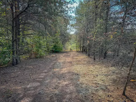 5632 Walking Path Pl, Harrietta, MI 49638 photo 58