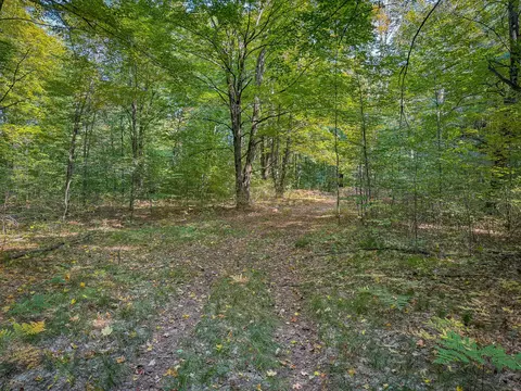 5632 Walking Path Pl, Harrietta, MI 49638 photo 63