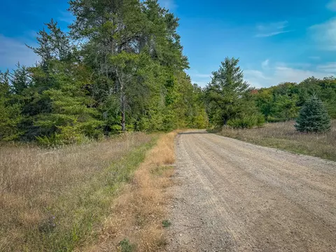 5632 Walking Path Pl, Harrietta, MI 49638 photo 46