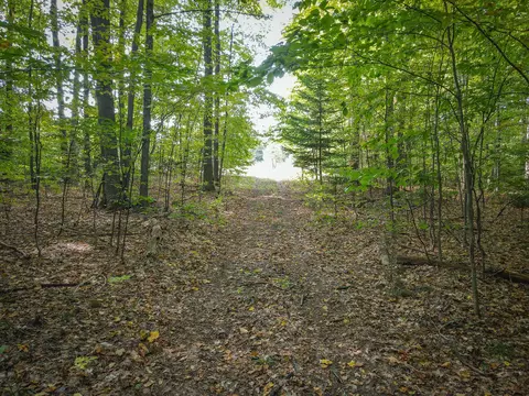 5632 Walking Path Pl, Harrietta, MI 49638 photo 57