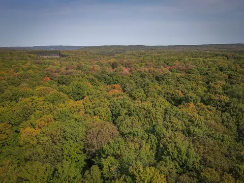 5632 Walking Path Pl, Harrietta, MI 49638 photo 52