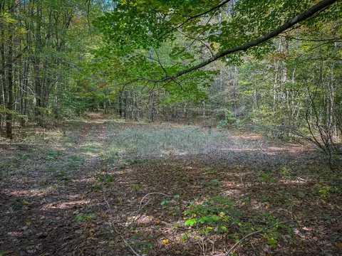 5632 Walking Path Pl, Harrietta, MI 49638 photo 62