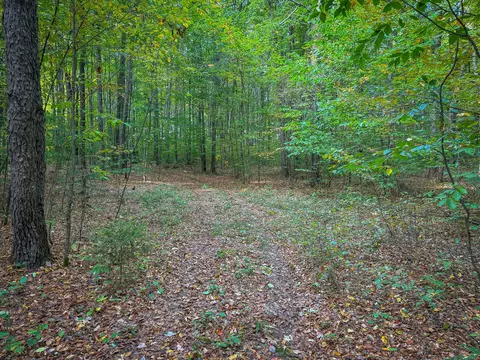 5632 Walking Path Pl, Harrietta, MI 49638 photo 59