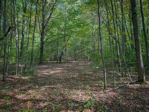 5632 Walking Path Pl, Harrietta, MI 49638 photo 61