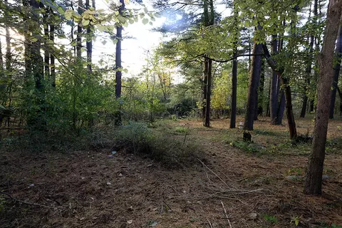 7647 Riverside Rd, Brooklyn, MI 49230 photo 8