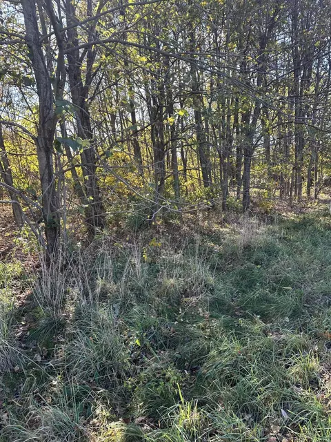 Vl E B Avenue, Plainwell, MI 49080 photo 5