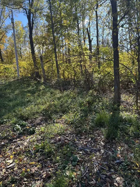 Vl E B Avenue, Plainwell, MI 49080 photo 4
