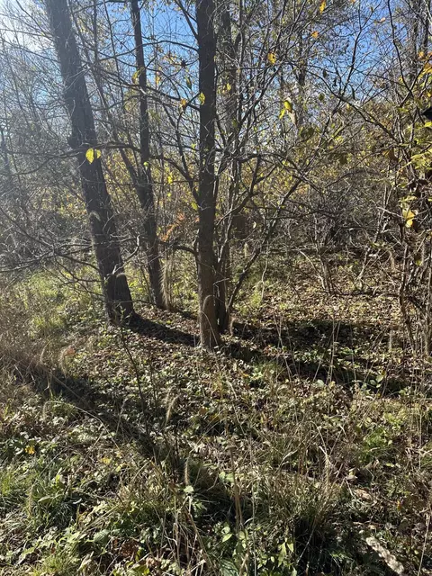 Vl E B Avenue, Plainwell, MI 49080 photo 7