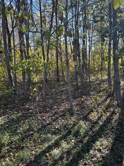 Vl E B Avenue, Plainwell, MI 49080 photo 6