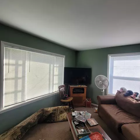 214 S Comstock St, Addison, MI 49220 photo 4