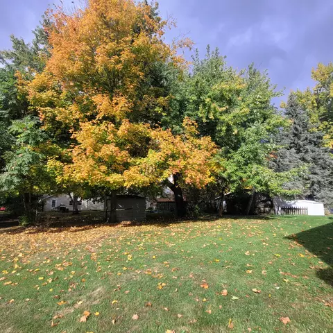 214 S Comstock St, Addison, MI 49220 photo 14