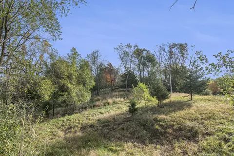 10483 Hadley Rd, Gregory, MI 48137 photo 16