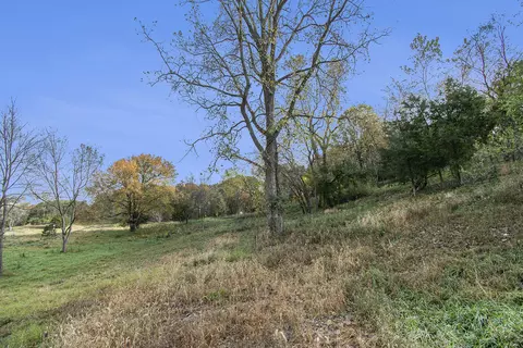 10483 Hadley Rd, Gregory, MI 48137 photo 3