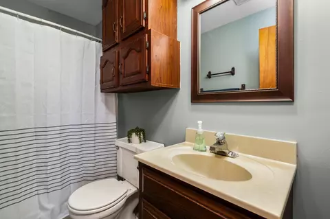10401 Allison Rd, Maybee, MI 48159 photo 24