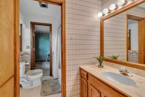 4471 Springbrook Rd, Jackson, MI 49201 photo 43