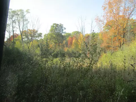 4512 E Stanton Rd, Stanton, MI 48888 photo 28