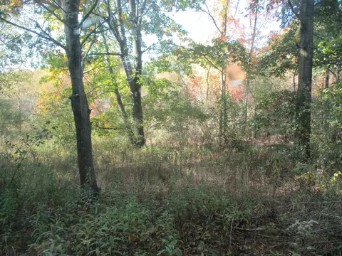 4512 E Stanton Rd, Stanton, MI 48888 photo 30
