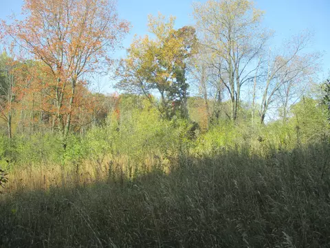 4512 E Stanton Rd, Stanton, MI 48888 photo 29